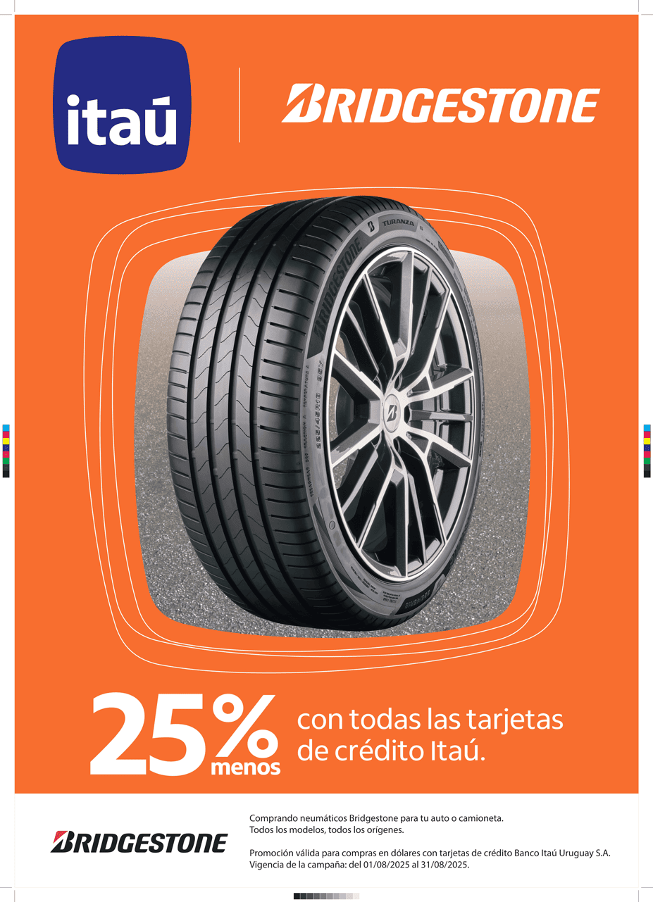 Neumático Bridgestone
